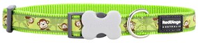 Κολλάρο Σκύλου Red Dingo STYLE MONKEY LIME GREEN 15 mm x 24-36 cm
