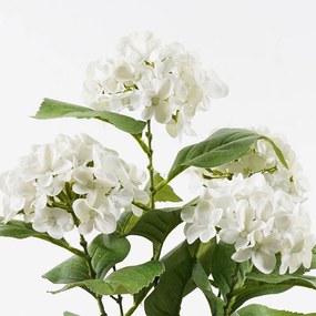 Διακοσμητικό φυτό σε γλάστρα Hydrangea Inart λευκό Φ35x50εκ