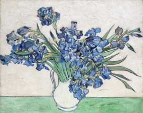 Αναπαραγωγή Irises, 1890, Vincent van Gogh