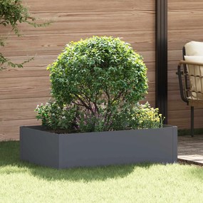 vidaXL Περίγραμμα γκαζόν 100 x 60 x 35 cm Ατσάλι Ανθρακί