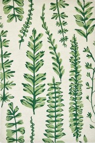Χαλί Ferns 125907 Juniper Ivory-Green Scion 250X350cm