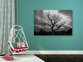 Εικόνα ενός ασπρόμαυρου δέντρου σε ένα λιβάδι - 60x40