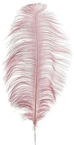 Φτερό Διακοσμητικό 3-70-355-0020 40/70cm Pink Inart Πολυέστερ