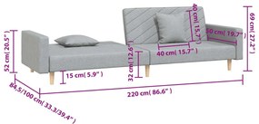Καναπές Κρεβάτι Διθέσιος Ανοιχτό Γκρι Υφασμάτινος &amp; 2 Μαξιλάρια - Γκρι