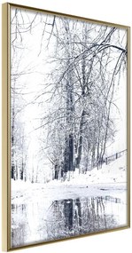 Αφίσα - Snowy Park - 40x60 - Χρυσό - Χωρίς πασπαρτού