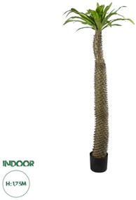 20130 GloboStar® Artificial Garden PACHYPODIUM LAMEREI PALM TREE 20130 Τεχνητό Διακοσμητικό Φυτό Φοίνικας της Μαγαδασκάρης Υ175cm