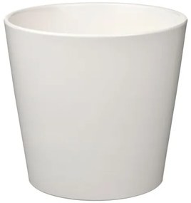 SOJABÖNA κασπό, 19 cm 505.335.76