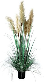 Τεχνητό Φυτό Σε Γλάστρα 0041-223-001 50x50x138cm Green-Beige Plastic