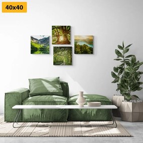 Σετ εικόνων με όμορφη πράσινη φύση - 4x 40x40