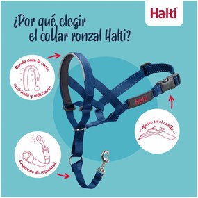 Ρύγχος Company of Animals COBALT Μπλε 2