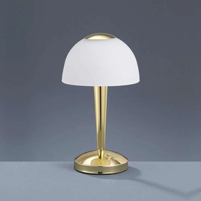 Φωτιστικό Επιτραπέζιο Led Ventura 350Lm 29x15cm Brass-White 529990103 Trio Lighting Metal, Glass