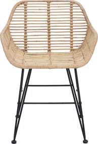 vidaXL Καρέκλα τραπεζαρίας 2 pcs Καλάμι και Σίδερο Φυσικό