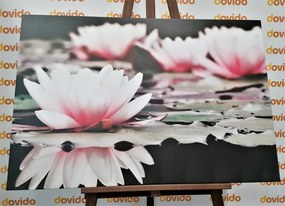 Εικόνα λουλούδι λωτού - 90x60
