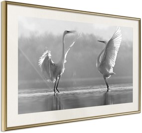 Αφίσα - Black and White Herons - 60x40 - Χρυσό - Με πασπαρτού