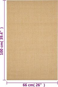vidaXL Χαλί 66 x 100 εκ. από Φυσικό Σιζάλ