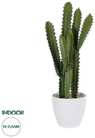 20099 GloboStar® Artificial Garden CEREUS JAMACARU CACTUS 20099 Τεχνητό Διακοσμητικό Φυτό Κάκτος Κηρίος Υ66cm