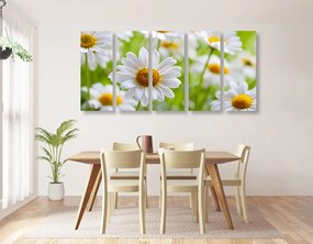 Εικόνα 5 μερών ανοιξιάτικο λιβάδι γεμάτο λουλούδια - 100x50