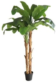 New plan BANANA TREE NP707_240 ΥΨΟΣ 240cm Τεμαχιο