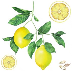 Διακοσμητικά αυτοκόλλητα τοίχου Lemons M