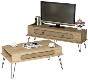 ΣΥΝΘΕΣΗ ΣΑΛΟΝΙΟΥ ΜΕΛΑΜΙΝΗΣ 2ΤΜΧ ΦΥΣΙΚΟ ΟΑΚ FB911851.02 9996502