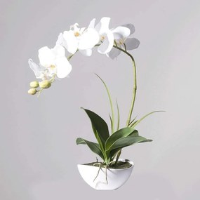 Τεχνητό Φυτό Ορχιδέα Με Κασπώ 8170-6 31x15x50cm White Supergreens Polyethylene