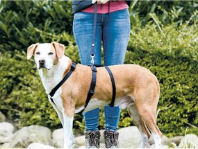 Οδηγός για σκύλο Trixie Stay Μαύρο M/L