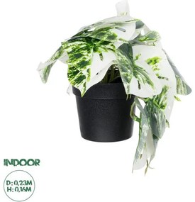 Διακοσμητικό Φυτό Λευκή Μονστέρα Artificial Garden 20946 Globostar-20946-Λευκό 20946