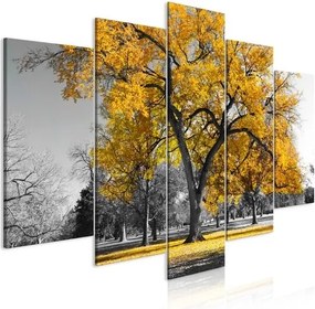 Πίνακας - Autumn in the Park (5 Parts) Wide Gold - 100x50