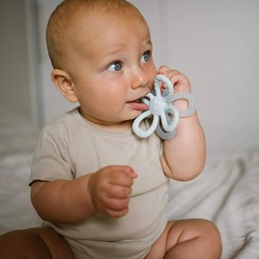 Μασητικό BabyOno Flower Blue BN1596/02