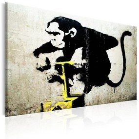 Πίνακας - Monkey Detonator by Banksy 90x60