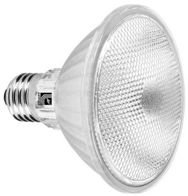Λαμπτήρας E27 13W LED PAR30 Στεγανή IP-65 LUMEN-13-3013451-nan 13-3013451