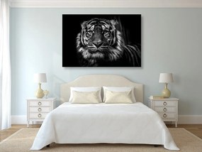 Εικόνα τίγρη σε ασπρόμαυρο