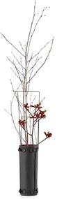 Βάζο Antes D11 H29 B7219023 Black-Rouge Serax Ceramic