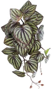 Τεχνητό Κρεμαστό Φυτό Peperomia 20602 45cm Brown-Green GloboStar Fabric