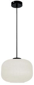 Φωτιστικό Οροφής Astor 4253000 E27 White-Black Viokef Metal, Glass