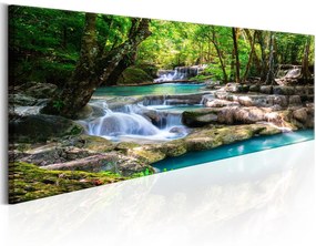 Πίνακας - Nature: Forest Waterfall 150x50