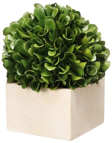 Artekko Boxwood Τεχνητός Πύξος σε Γλαστράκι Πλαστικό Πράσινο (11.4x11.4x14)cm