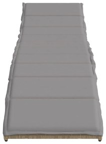 Ξαπλώστρα Μπεζ 55x199x50 εκ. από Συνθετικό Ρατάν με Μαξιλάρι - Μπεζ
