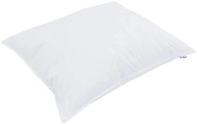 vidaXL Μαξιλάρι με μαξιλάρι 2 pcs Λευκό 50 x 75 cm Βαμβάκι