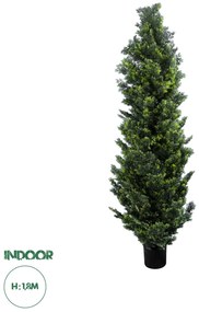 20156 GloboStar® Artificial Garden CYPRESSUS LEYLANDII 20156 Τεχνητό Διακοσμητικό Φυτό Κυπαρίσσι Λέιλαντ Υ180cm
