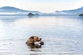 Φωτογραφία Kurile Lake, Giuseppe DAmico