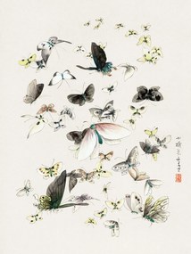 Εκτύπωση έργου τέχνης Butterflies & Moths (2 of 2) - Katsushika Hokusai, (30 x 40 cm)