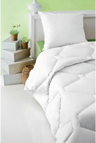 Σετ 2 μαξιλαριών Abeil 60 x 60 cm (x2)