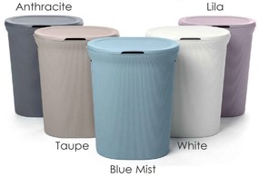 Καλάθι Απλύτων Baobab 06721.004 Anthracite Plastic