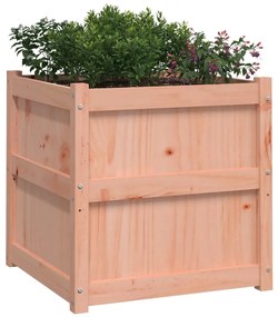 vidaXL Ζαρντινιέρες 2 τεμ. από Μασίφ Ξύλο Ψευδοτσούγκας