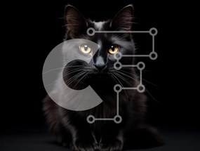 Σετ των 2 Intra Συλλεκτικό Ξύλινο Παζλ Plywood  4mm - Μαύρη γάτα με χρυσά μάτια Σε Ξύλινο Κουτί - Διαστάσεις: 10x10 cm – 25 κομμάτια