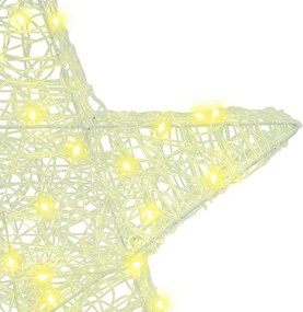 vidaXL 3D Αστέρι 50 LED Θερμό λευκό 55 x 53.5 x 10 εκ Ακρυλικό