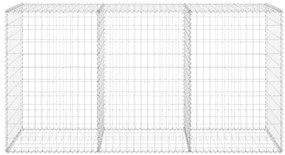 vidaXL Συρματοκιβώτιο Τοίχος 200x60x100 εκ. Γαλβαν.Χάλυβας + Καλύμματα
