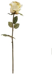 Λουλούδι - Κλαδί Τριαντάφυλλο 99-00-17905 70cm Beige Marhome