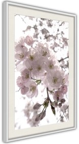 Αφίσα - Spring Visit - 40x60 - Μαύρο - Με πασπαρτού